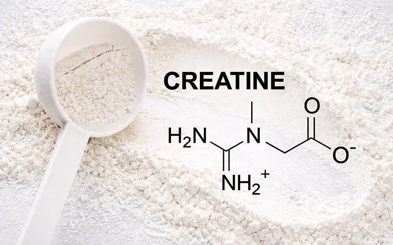 Creatine, Properly Explained: What It Does, What It Doesn't, and Why It Belongs in Your Stack